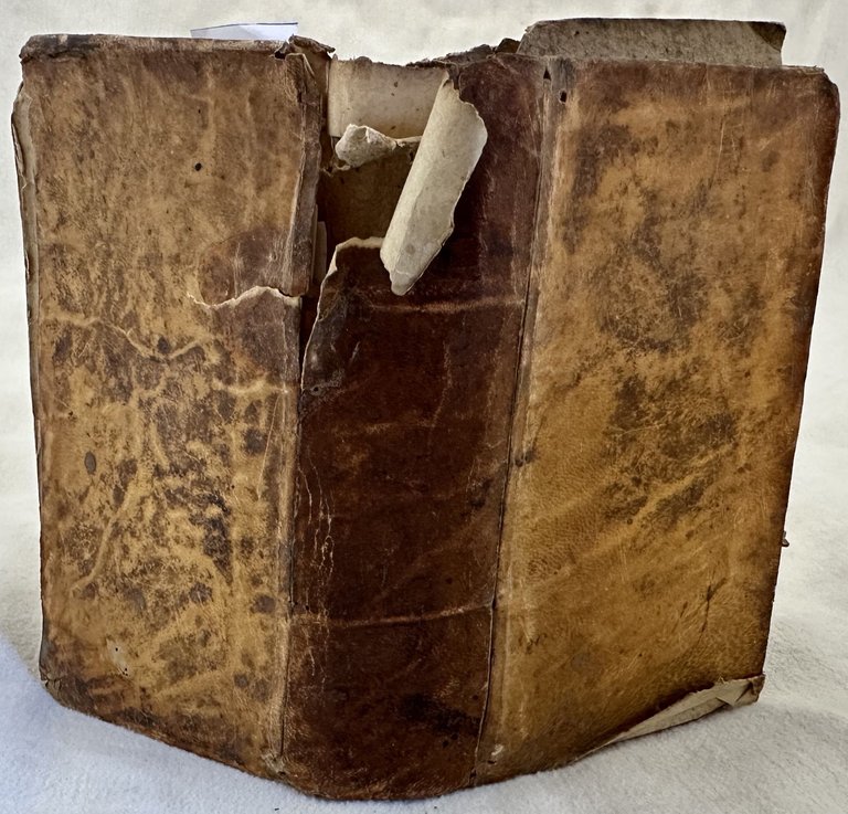 IL CORALBO DEL CAVALIER GIO. FRANCESCO BIONDI LIBRI TRE CHE …