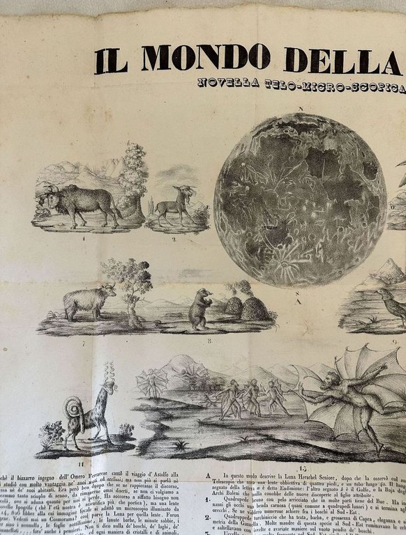 IL MONDO DELLA LUNA NOVELLA TELO-MICRO-SCOPICA | Immagine Gallery 3