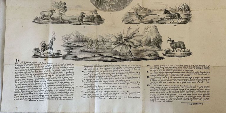 IL MONDO DELLA LUNA NOVELLA TELO-MICRO-SCOPICA | Immagine Gallery 4