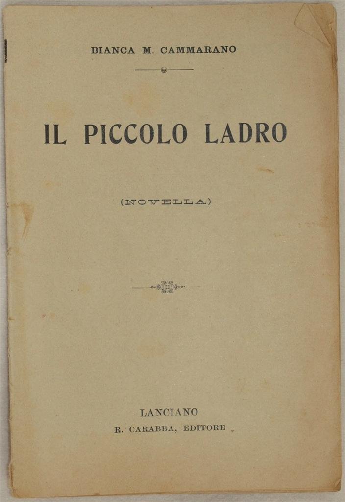 IL PICCOLO LADRO (NOVELLA)