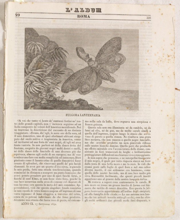 L'ALBUM DI ROMA 17 SETTEMBRE 1842 ANNO IX | Immagine principale