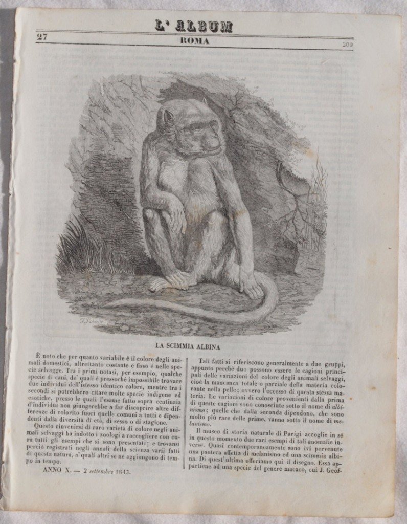 L'ALBUM DI ROMA 2 SETTEMBRE 1843