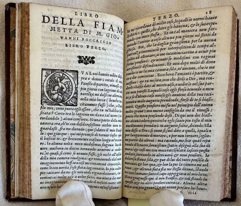 L'AMOROSA FIAMMETTA