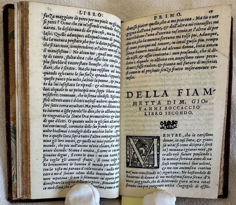 L'AMOROSA FIAMMETTA
