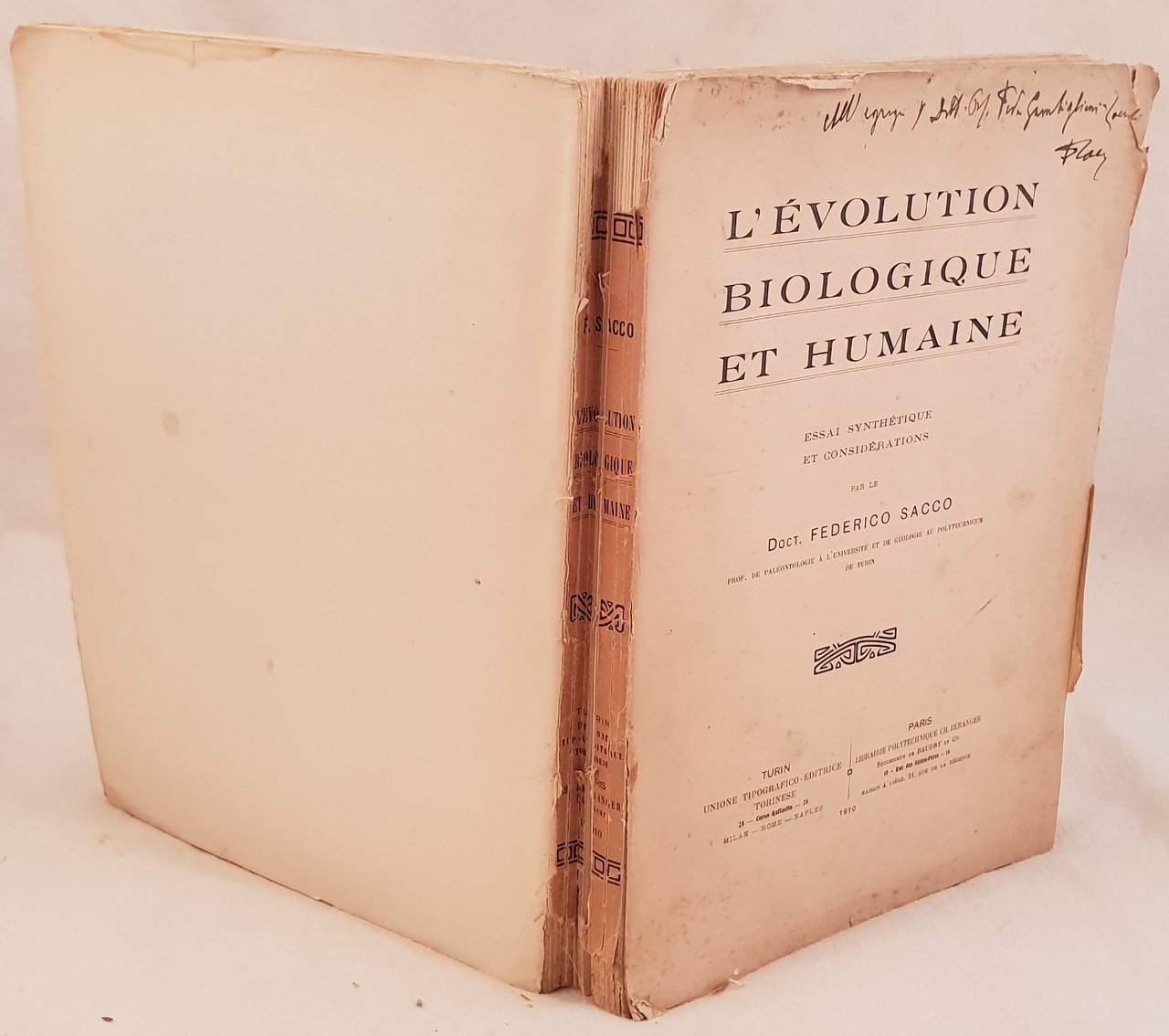 L'EVOLUTION BIOLOGIQUE ET HUMAINE ESSAI SYNTHETIQUE ET CONSIDERATIONS