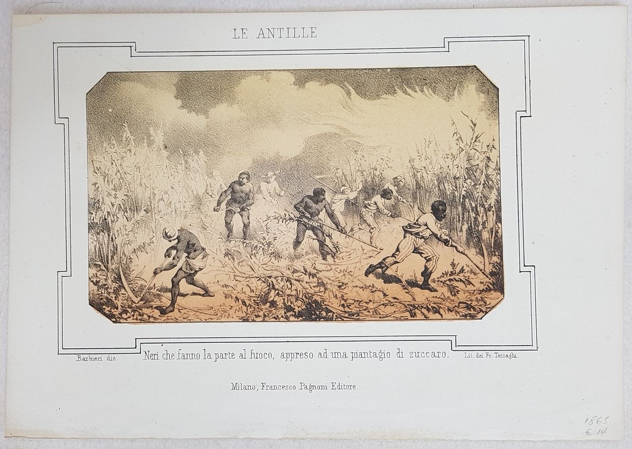 LE ANTILLE NERI CHE FANNO LA PARTE AL FUOCO APPRESO … | Immagine principale