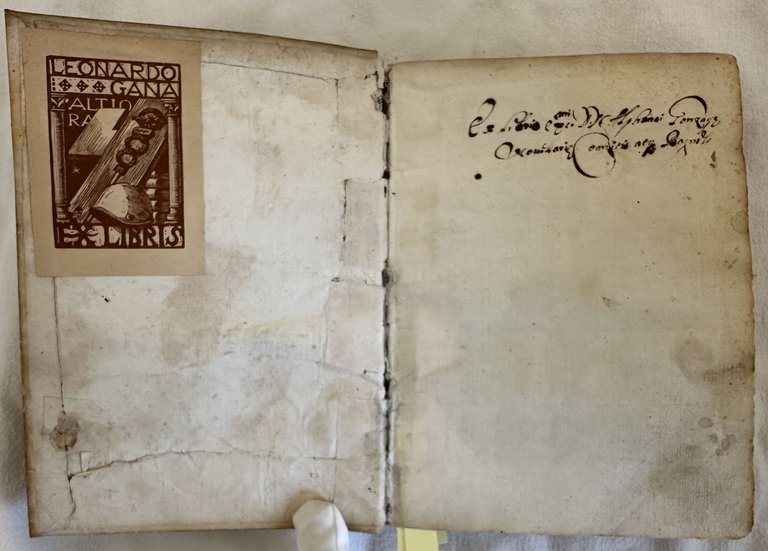 LE MEMORIE DI FILIPPO DI COMINES CAVALLERO & SIG. D'ARGENTONE | Immagine Gallery 2