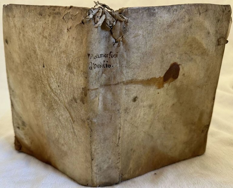 LE METAMORFOSI D’OVIDIO AL CHRISTIANISSIMO RE DI FRANCIA HENRICO SECONDO | Immagine Gallery 9