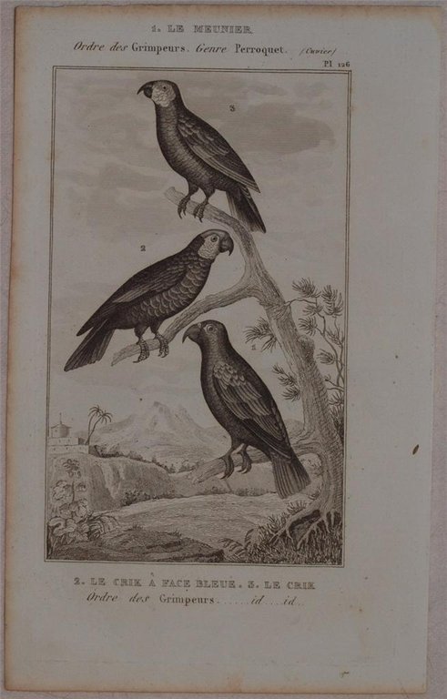 LE MEUNIER LE CRIK A FACE BLEUE LE CRIK Ordre …