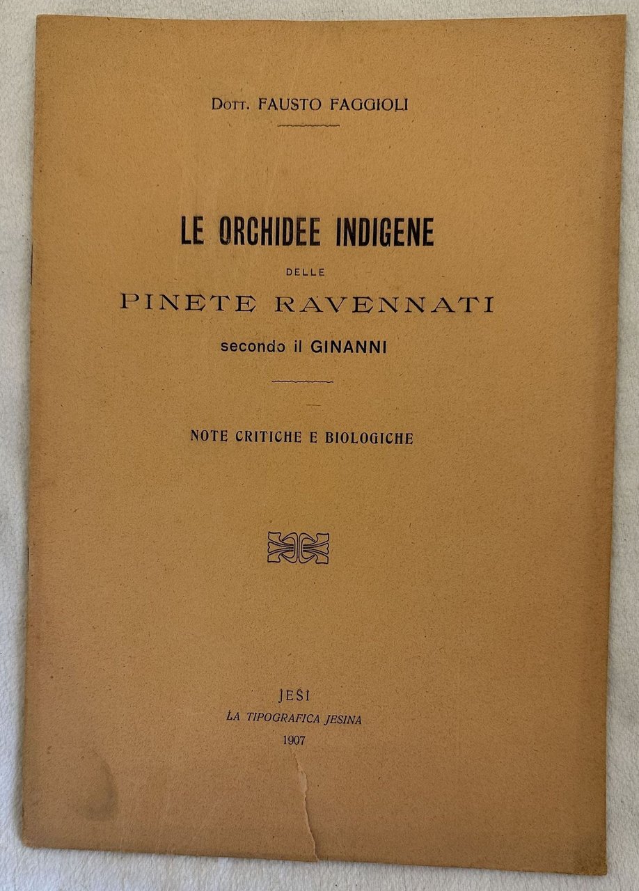 LE ORCHIDEE INDIGENE DELLE PINETE RAVENNATI SECONDO IL GINANNI NOTE …