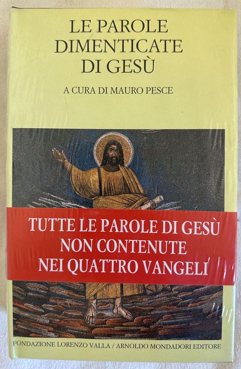 LE PAROLE DIMENTICATE DI GESU | Immagine principale