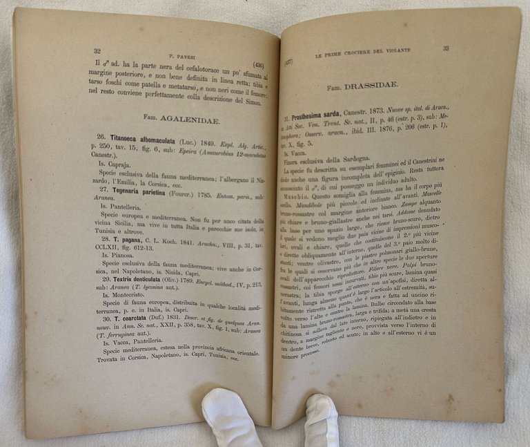 LE PRIME CROCIERE DEL VIOLANTE COMANDATO DAL CAPITANO ARMATORE ENRICO …