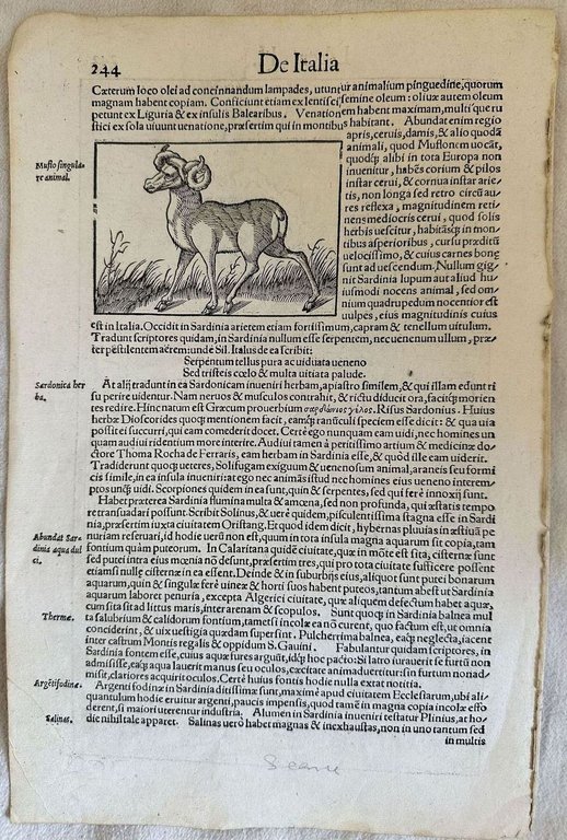 LIBER II SARDINIA INSULA