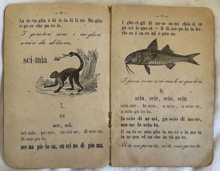 LIBRI DI TESTO PER LE SCUOLE ELEMENTARI DI ROMACOMPIMENTO DEL … | Immagine Gallery 3