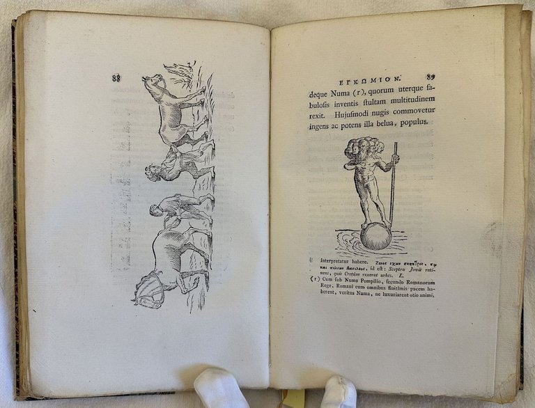 MORIAS EGKOMION SIVE STULTITIAE LAUS DES. ERASMI ERASMI ROT. DECLAMATIO …