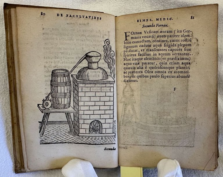 OPUSCULUM DE SIMPLICIUM MEDICAMENTORUM FACULTATIBUS SECUNDUM LOCOS & GENERA ACCESSERUNT …