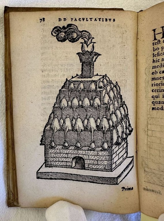 OPUSCULUM DE SIMPLICIUM MEDICAMENTORUM FACULTATIBUS SECUNDUM LOCOS & GENERA ACCESSERUNT …