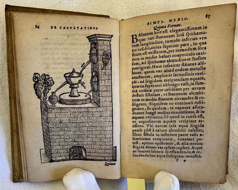 OPUSCULUM DE SIMPLICIUM MEDICAMENTORUM FACULTATIBUS SECUNDUM LOCOS & GENERA ACCESSERUNT …