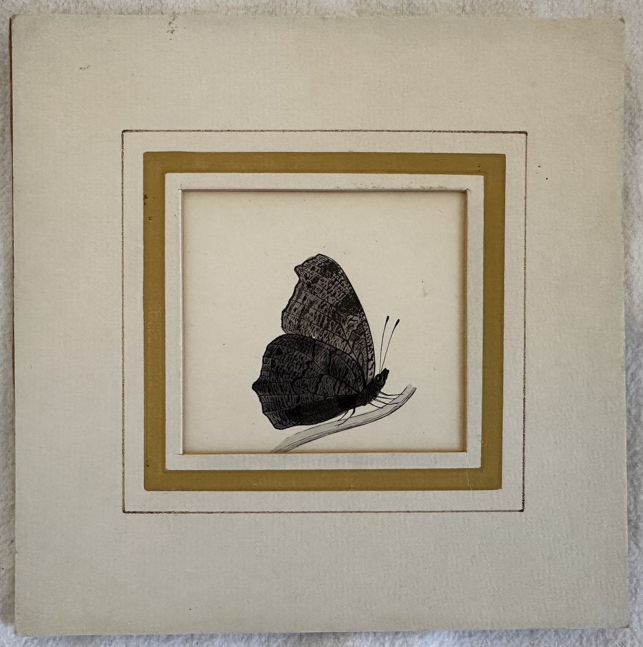 Peacock butterfly Inachis io Vanessa