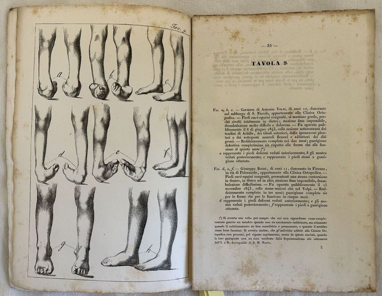 PROSPETTO DELL'IMPERIALE E REALE ISTITUTO ORTOPEDICO TOSCANO FONDATO E DIRETTO … | Immagine Gallery 7