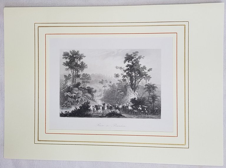 REISE IN BRASILIEN | Immagine Gallery 2