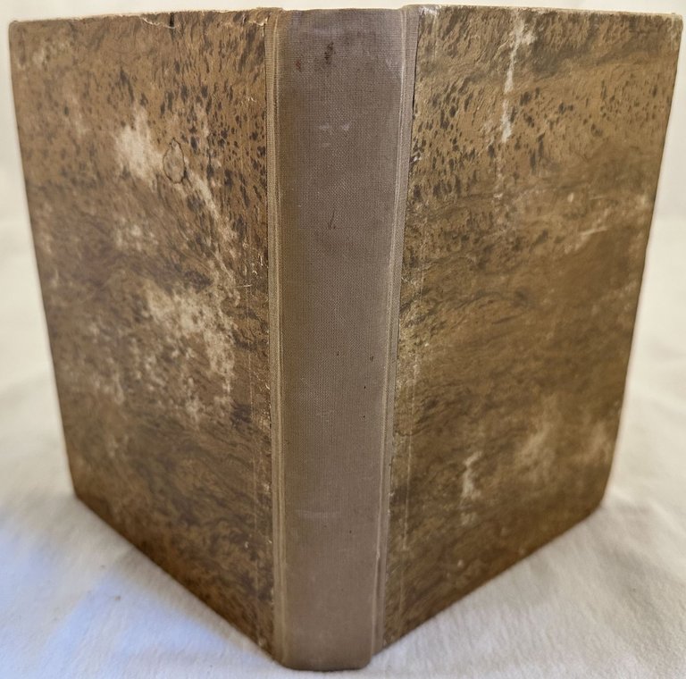 STATUE DI FIRENZE PARTE I II III