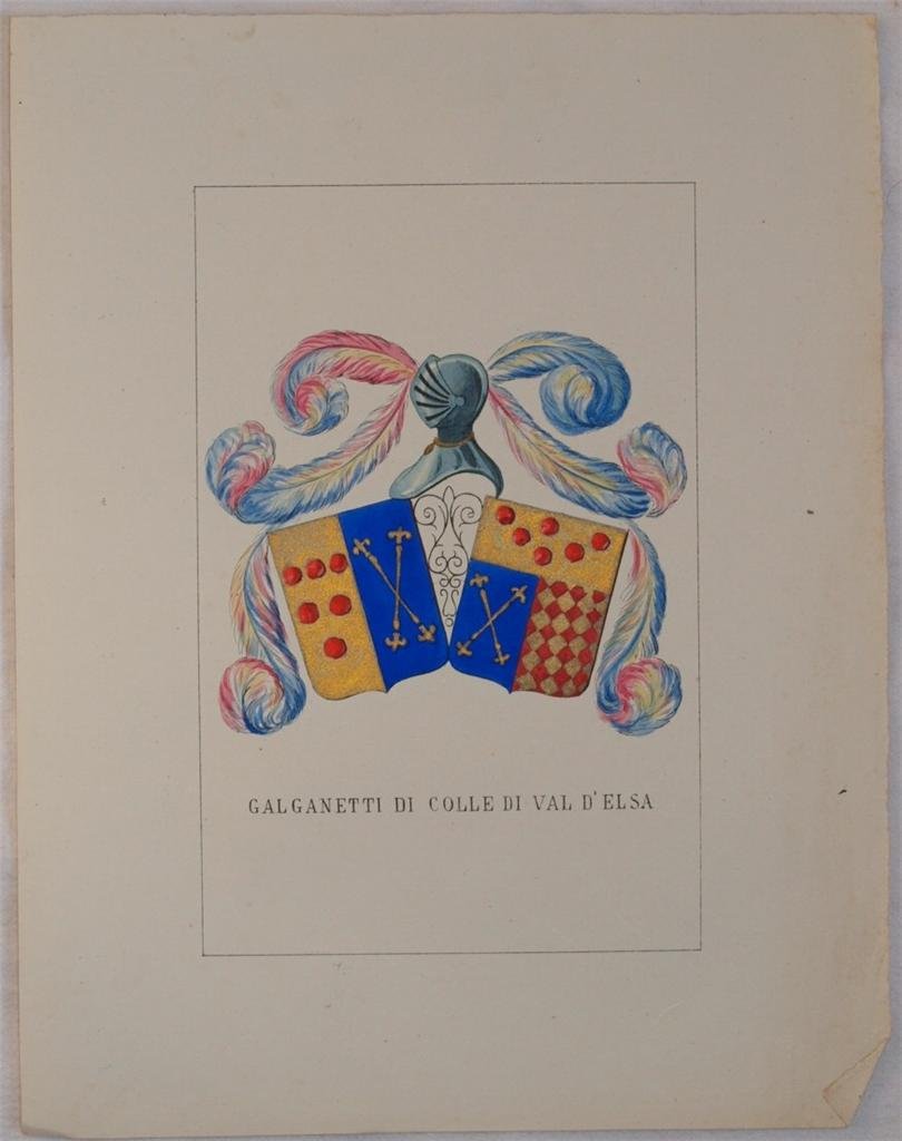 STORIA DELLE FAMIGLIE ILLUSTRI ITALIANE - GALGANETTI DI COLLE VAL …