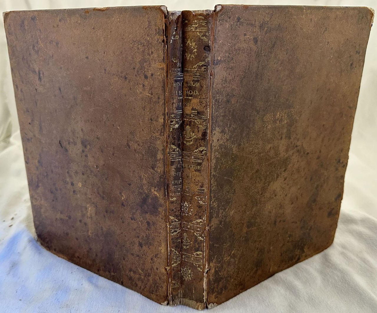 TABLEAU ENCYCLOPEDIQUE ET METHODIQUE DES TROIS REGNES DE LA NATURE …