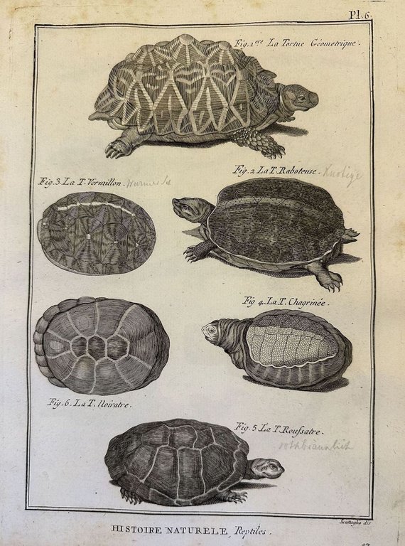 TABLEAU ENCYCLOPEDIQUE ET METHODIQUE DES TROIS REGNES DE LA NATURE …