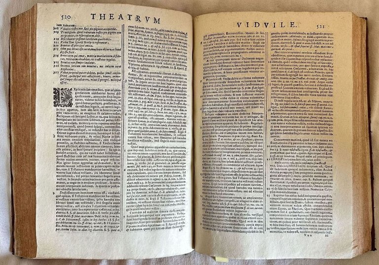 THEATRUM VIDUILE SEU DE VIDUIS AC PRIVILEGIIS VIDUILIBUS TRACTATUS ABSOLUTISSIMUS, …