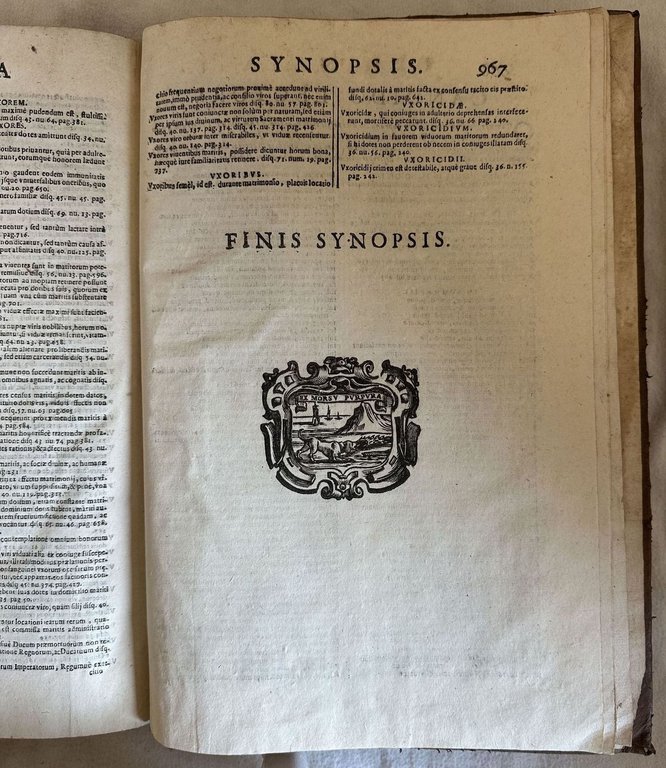 THEATRUM VIDUILE SEU DE VIDUIS AC PRIVILEGIIS VIDUILIBUS TRACTATUS ABSOLUTISSIMUS, …