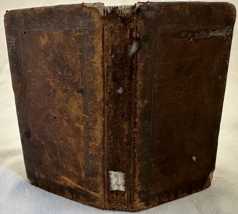 TRACTATIBUS DE ANIMALIBUS SUBTERRANEIS ET INSECTIS EX OPERIBUS R. P. …