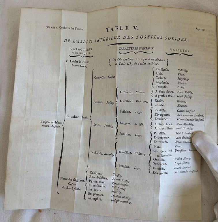 TRAITE DES CARACTERES EXTERIEURS DES FOSSILES | Immagine Gallery 8