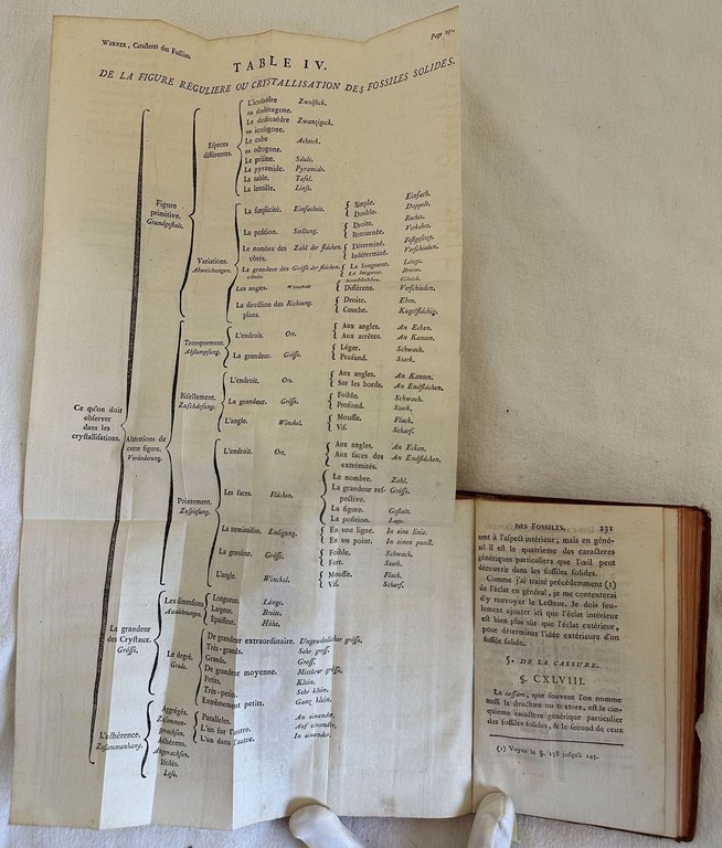 TRAITE DES CARACTERES EXTERIEURS DES FOSSILES | Immagine Gallery 6