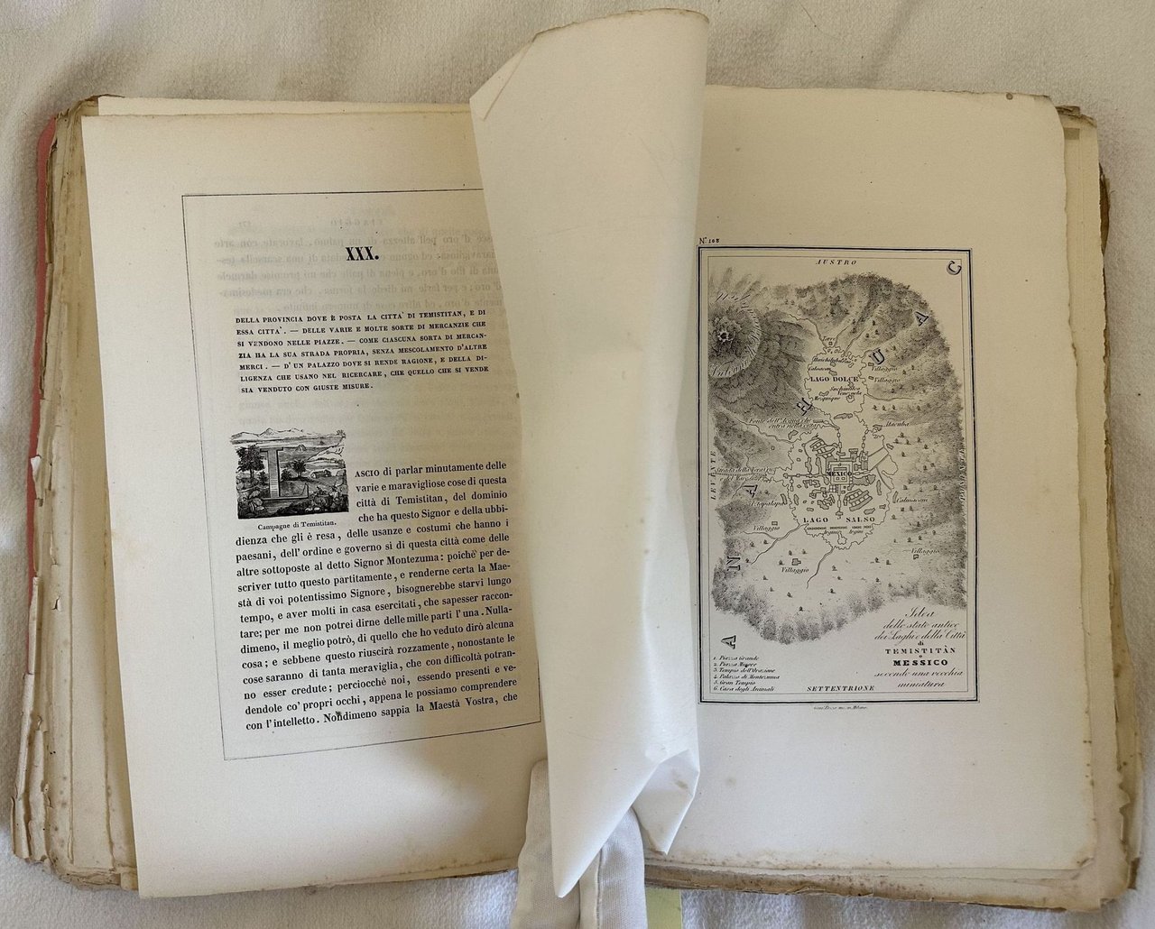 VIAGGI LETTERE RELAZIONI E MEMORIE RELATIVE ALLA SCOPERTA ED ALLA …