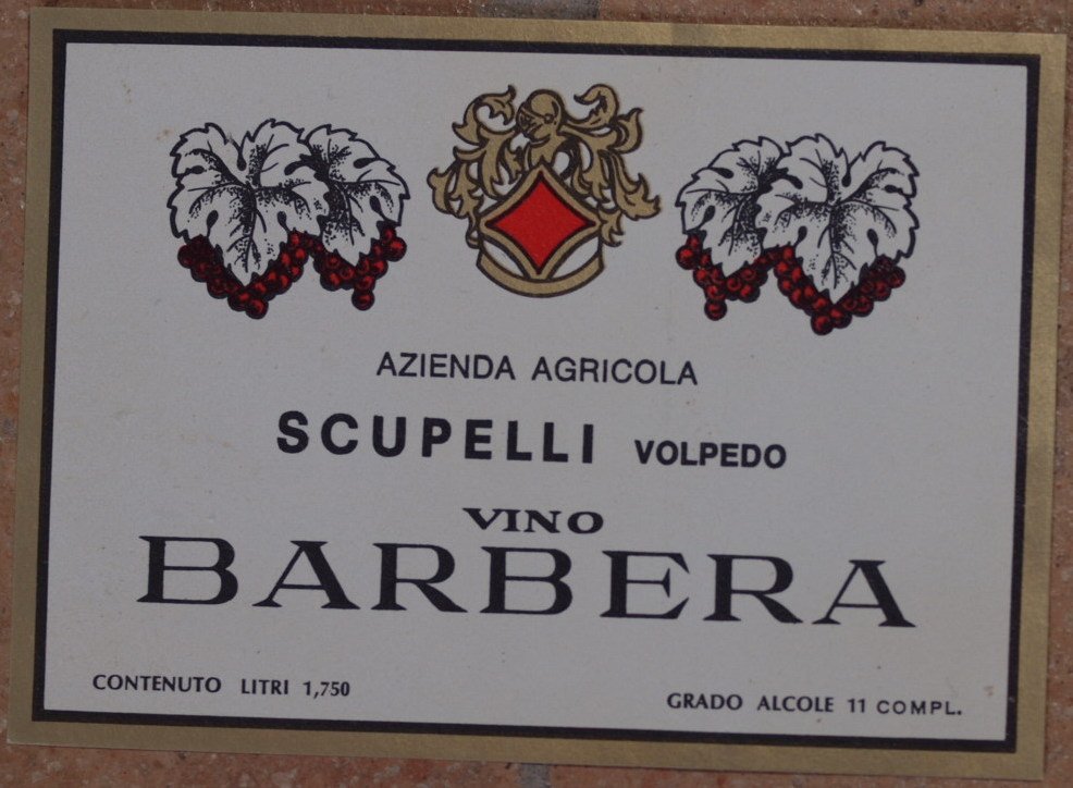 VINO BARBERA AZIENDA AGRICOLA SCUPELLI VOLPEDO