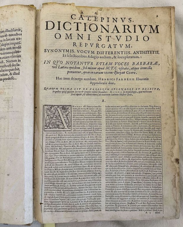 VOCABULARIO VOLGARE ET LATINO NON SOLAMENTE DI TUTTE LE VOCI … | Immagine Gallery 5