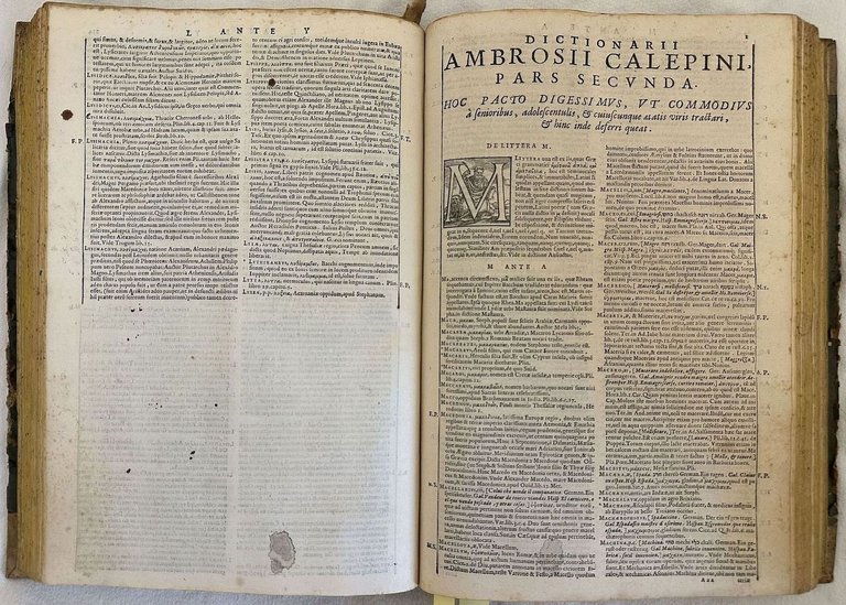 VOCABULARIO VOLGARE ET LATINO NON SOLAMENTE DI TUTTE LE VOCI … | Immagine Gallery 3