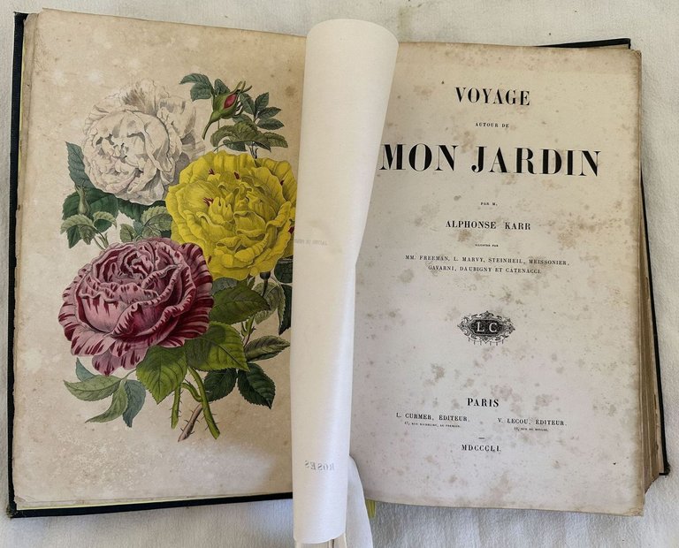 VOYAGE AUTOUR DE MON JARDIN