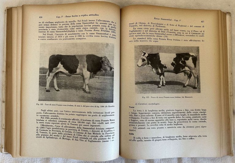 ZOOTECNICA SPECIALE PREFAZIONE DEL PROF. FILIPPO USUELLI VOLUME PRIMO SECONDO