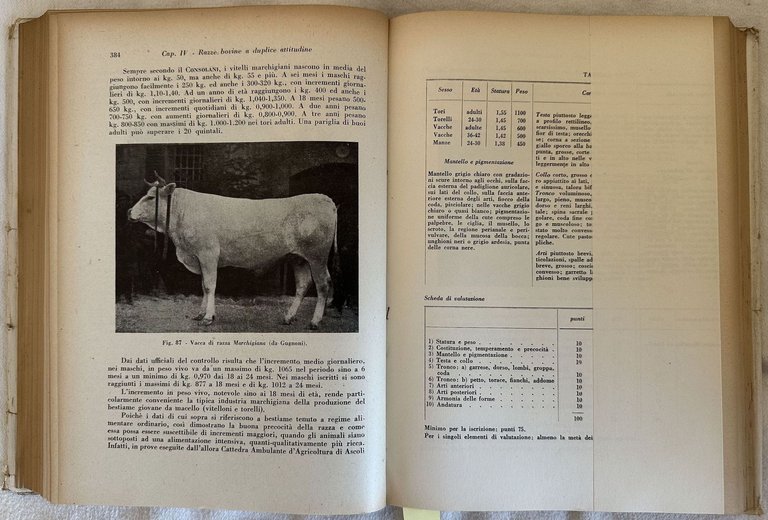 ZOOTECNICA SPECIALE PREFAZIONE DEL PROF. FILIPPO USUELLI VOLUME PRIMO SECONDO