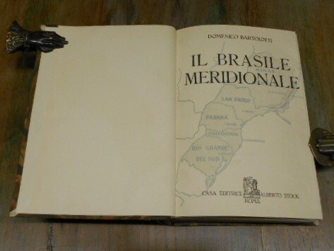 Il Brasile Meridionale. La capitale federale Rio Janeiro. San Paolo. …