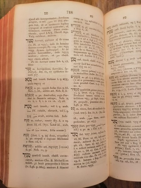 Lexicon manuale hebraicum et chaldaicum in Veteris Testamenti libros. Post …