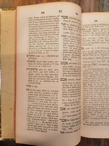 Lexicon manuale hebraicum et chaldaicum in Veteris Testamenti libros. Post …