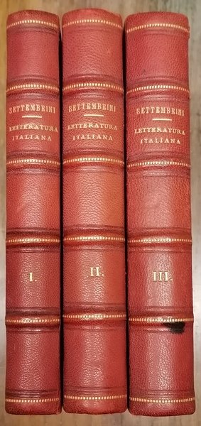 Lezioni di letteratura italiana dettate nell'Università di Napoli da Luigi …