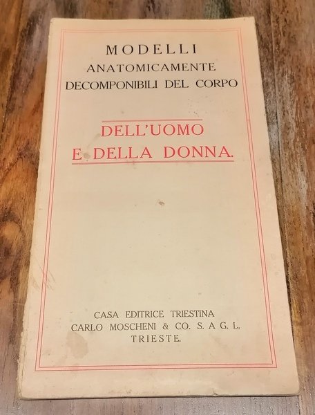 Modelli anatomicamente decomponibili del corpo dell'uomo e della donna.