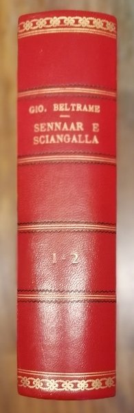 Il Sènnaar e lo Sciangàllah. Memorie del Prof. Cav. Ab. …