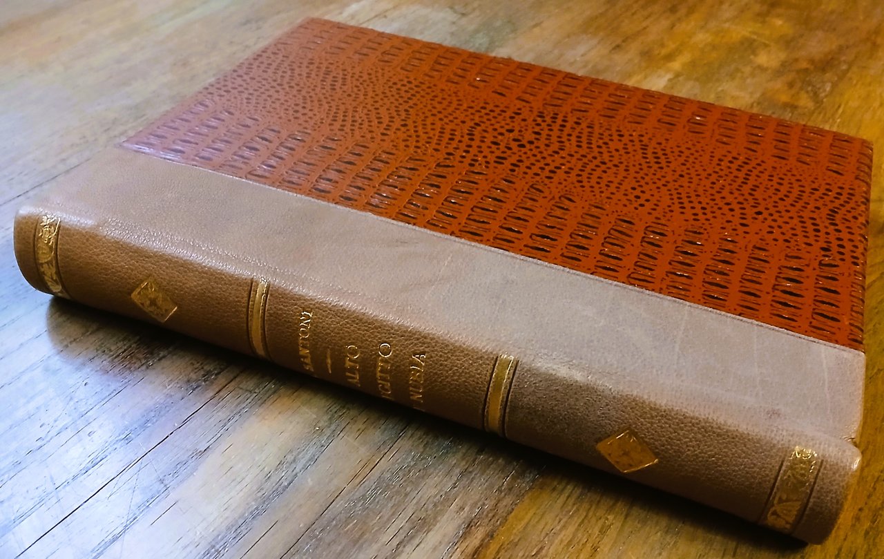 Alto Egitto e Nubia. Memorie di Licurgo Santoni (1863-1898).