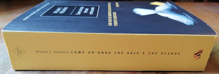 Come un'onda che sale e che scende. Pensieri su violenza, …