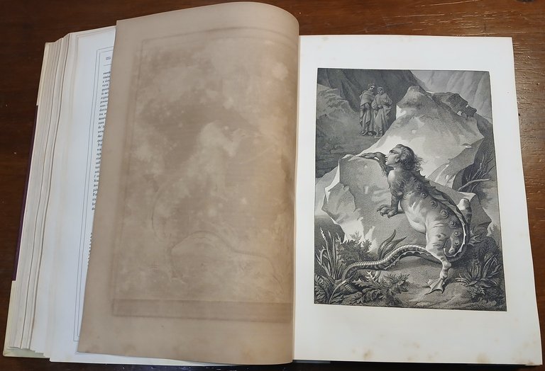 Commedia di Dante Allighieri con ragionamenti e note di Niccolò …